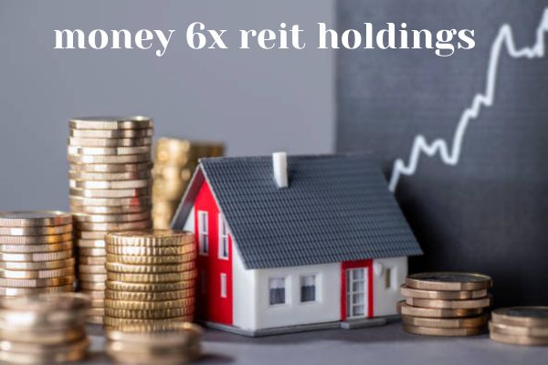 money 6x reit holdings